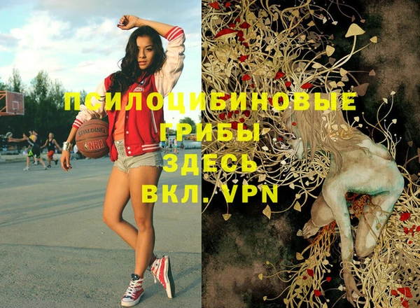 первитин Армянск