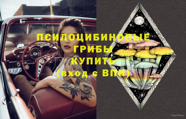 МДПВ Семёнов