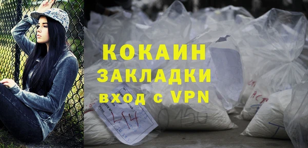ПСИЛОЦИБИНОВЫЕ ГРИБЫ Арсеньев