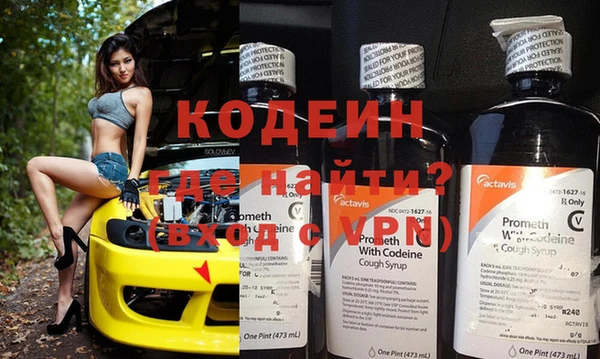 ПСИЛОЦИБИНОВЫЕ ГРИБЫ Арсеньев